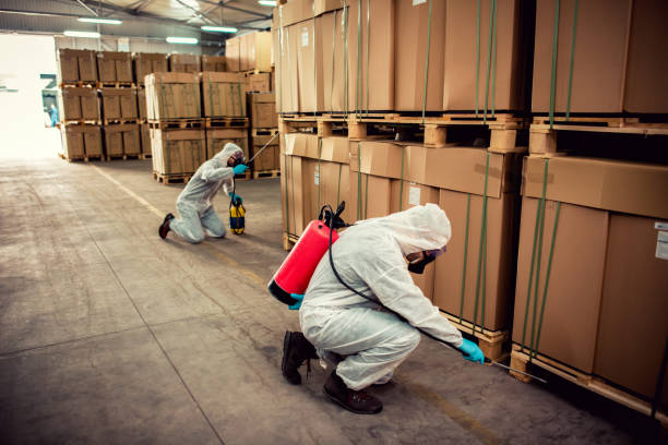Best Best Pest Control Companies  in Rogersville, TN