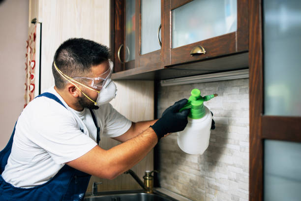 Best Affordable Pest Control Services  in Rogersville, TN