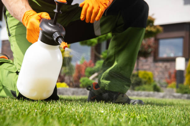 Best Pest Removal Services  in Rogersville, TN