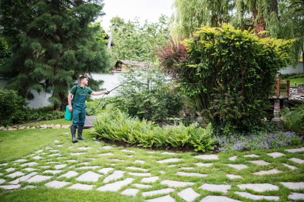 Best Commercial Pest Control Services  in Rogersville, TN