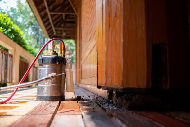 Best Best Pest Control Companies  in Rogersville, TN