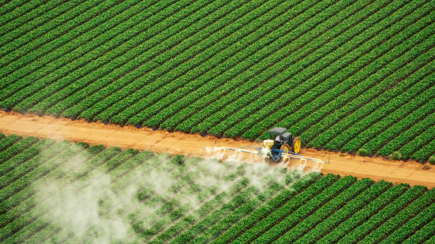 Reliable Rogersville, TN Pest Control Solutions